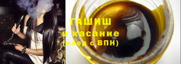 гидра Богородск