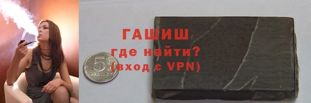 гидра Богородск