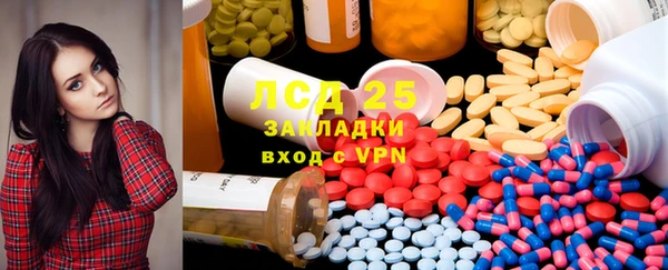 гидра Богородск