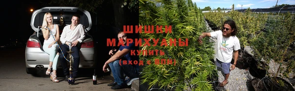 гидра Богородск