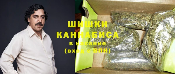 гидра Богородск